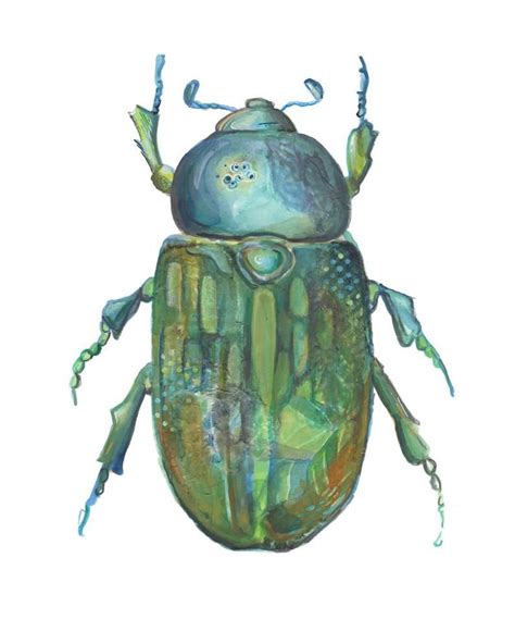 Beetle Art Print Watercolor Insect Illustration Etsy Beetle Art