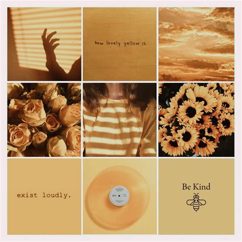 15+ Best Ideas to Create a Aesthetic Moodboard in 2024