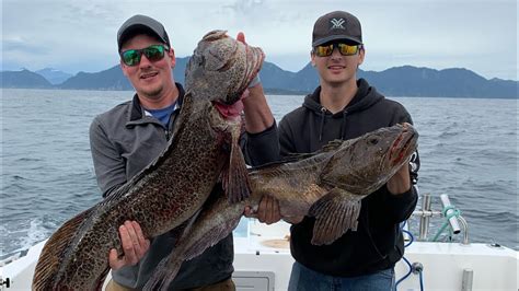 Alaskan Lingcod Halibut And Rockfish Youtube