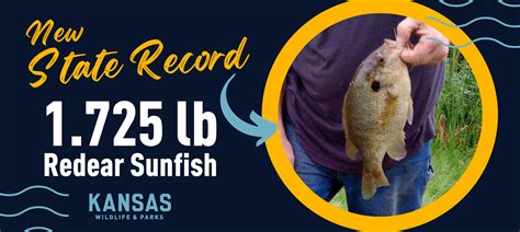 Angler Catches Last State Record Fish For Calendar Year