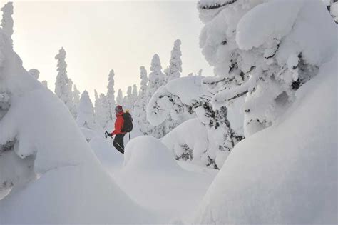 Gaspesie National Park Photo Gallery - Winter snowshoeing and skiing