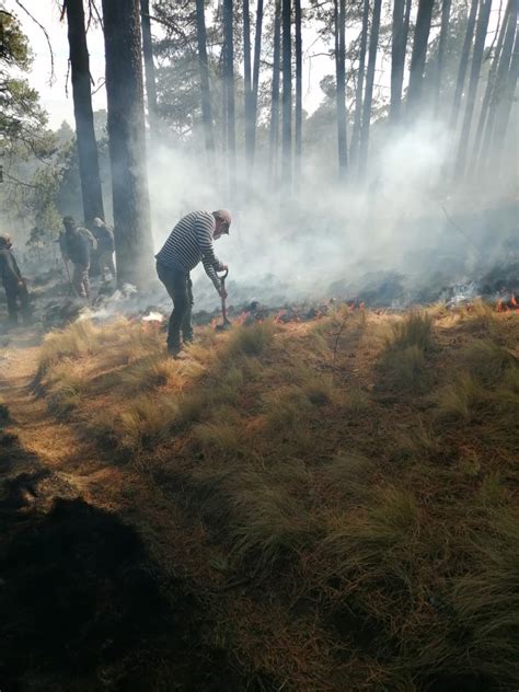 Reconocen Gran Destreza Y Dinamismo De La Brigada Forestal De Toluca