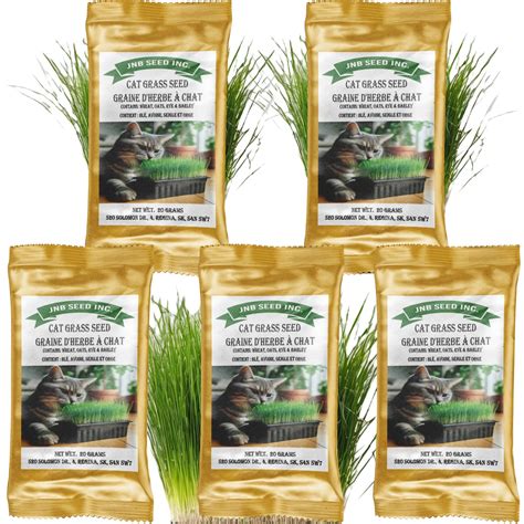 Organic Cat Grass Seed Jnb Seed