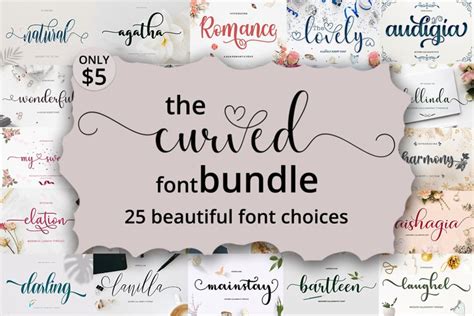 The Curved Font Bundle 1849067