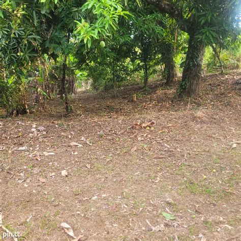 Agricultural Land 129000 Sq Ft TT 2 500 000 458368 In Central Land