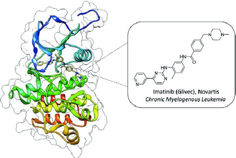 Co Crystal Structure Of Imatinib Beige Bound To Abl Kinase Pdb Download Scientific Diagram