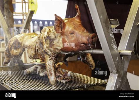 Roasted Suckling Pig Stock Photo Alamy