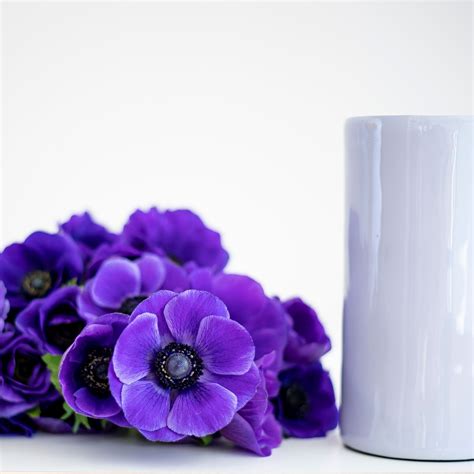 Anemones Flower Care | Farmgirl Flowers
