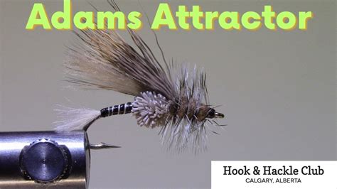 Hook And Hackle Club Presents Adams Attractor YouTube