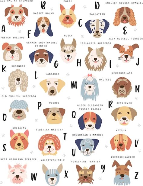 Cartaz De Cachorro Com Ilustração Vetorial De Nomes De Raças Vetor