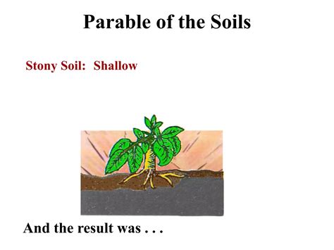 Parable Of The Soilsppt