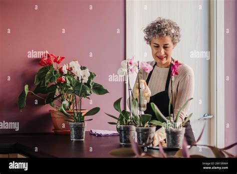 Bonne femme mature dans un tablier et des gants pulvérisant de l eau sur des feuilles d