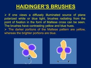 macular function tests