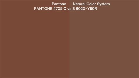 Pantone 4705 C Vs Natural Color System S 6020 Y60R Side By Side Comparison