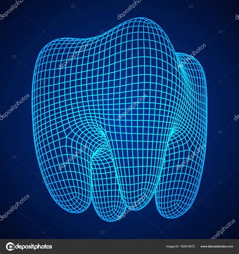 Tooth Wireframe Mesh Stock Vector By Newb