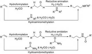 Recent Advances In Catalytic Cn Bond Formation A Comparison Of