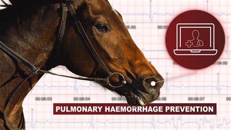 Pulmonary Haemorrhage In The Racehorse