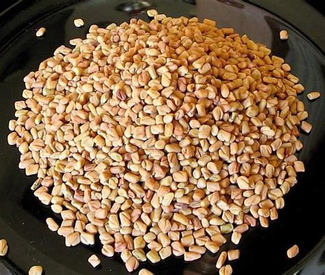 Бедуинский чай. Мармария (бедуинский чай)