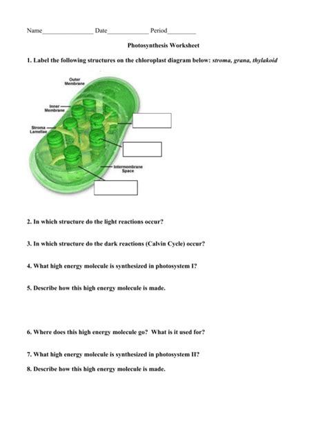 photosynthesis worksheet