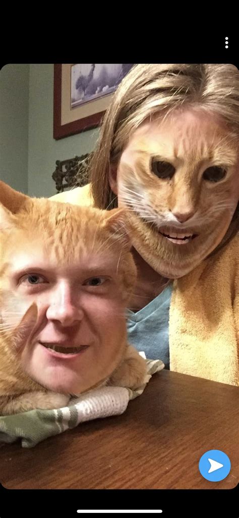 Possibly the most terrifying face swap sigh my cat. : r/faceswap