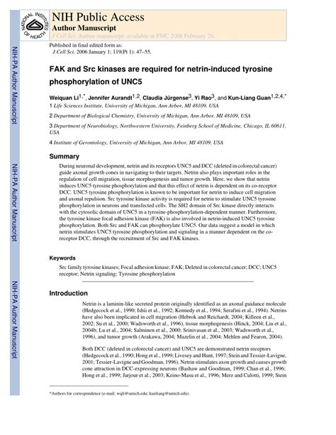 Pdf Fak And Src Kinases Are Required For Netrin Induced Tyrosine