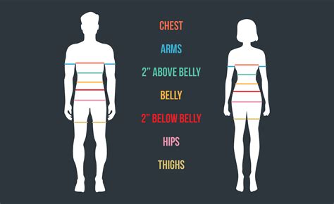 Body Measurements Worksheet