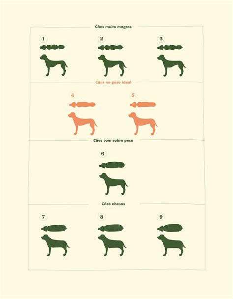 Saiba Como Calcular A Idade Do Seu Cachorro Blog Da Cobasi Descubra