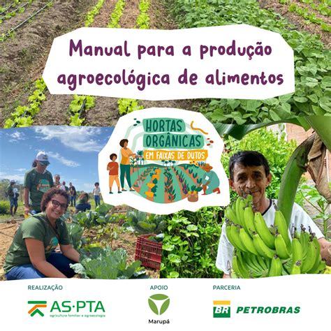 As Ptamanual Para Produ O Agroecol Gica De Alimentos As Pta