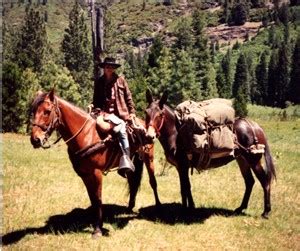 Horse Camping Tips - An Insiders Guide How To Guide