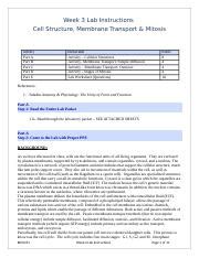 BIOS251 W3 Lab Instructions Docx Week 3 Lab Instructions Cell