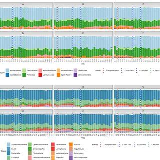 Relative Abundance Of The Most Abundant Bacterial Communities At I