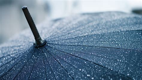 Online Crop Close Up Photo Of Black Umbrella HD Wallpaper Wallpaper