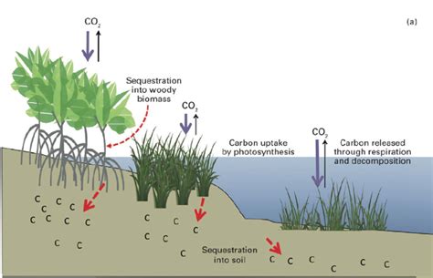 Global Climate Indicators: Ocean heat content, acidification ... 