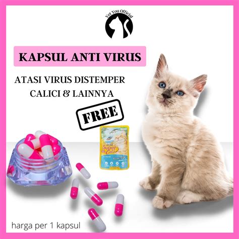 Jual Vitamin Kucing Obat Kapsul Antivirus Distemper Calici Penleu