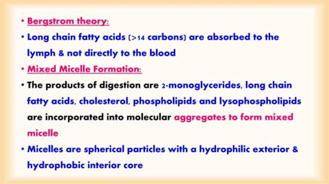 Digestion And Absorption Of Lipids Ppt