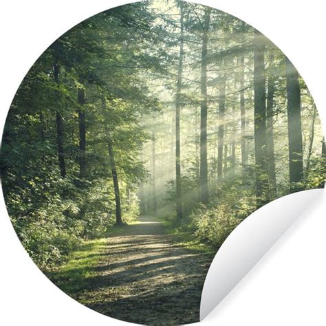 WallCircle Muurstickers Behangcirkel Bos Licht Pad 50x50 Cm