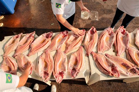 Festival do Tambaqui acontece em 14 municípios de Rondônia confira