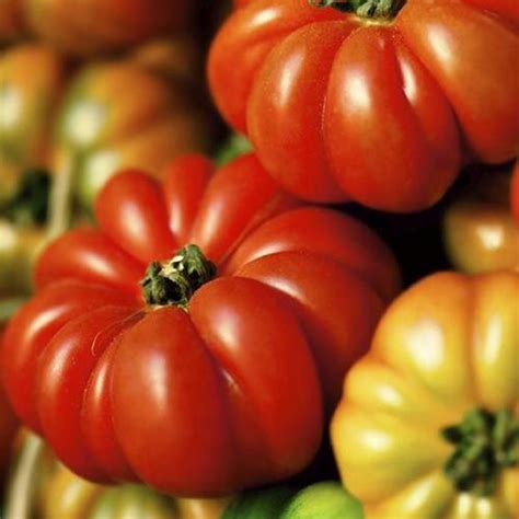 Of The Best Heirloom Tomato Varieties Artofit