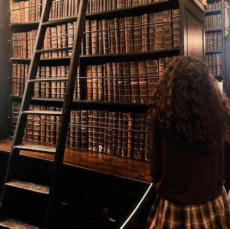 Pin By Kendall On Mione Aesthetic In Hermione Granger Aesthetic