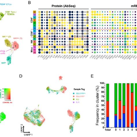 Single Cell Multi Omics Provides A High Resolution Map Of The