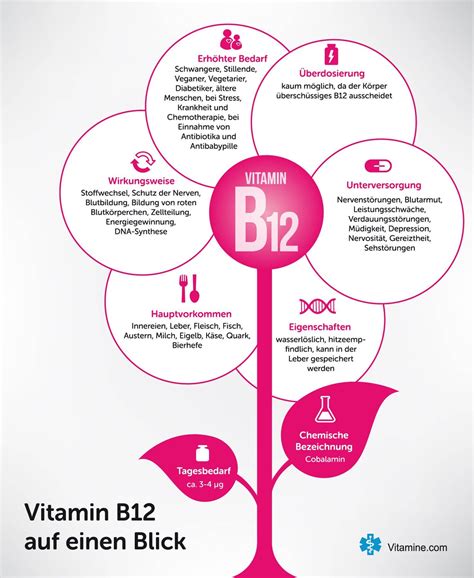 Alles über Das Vitamin B12 Auf Einen Blick Vitamin B12 Vitamine