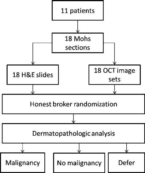 Figure 1 From Imaging Of Mohs Micrographic Surgery Sections Using Full