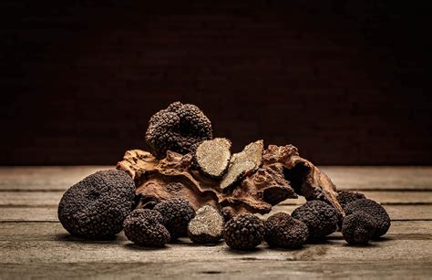 Tartufi E Dintorni Tutto Quello Che C Da Sapere Sul Tartufo