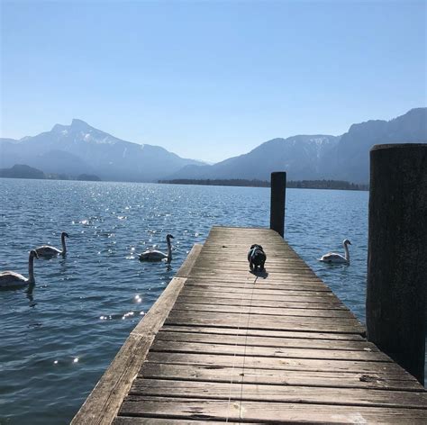 Ber Nyi Gergely On Instagram Mondsee Follow Georgi Therapy