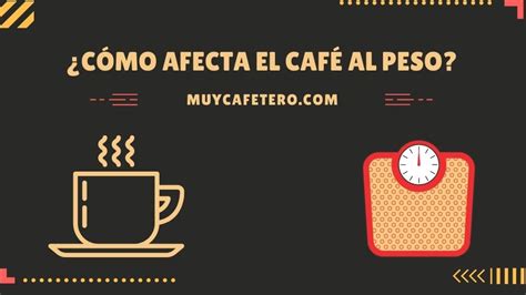 Qu Es El V Mito De Caf Molido Causas Y S Ntomas