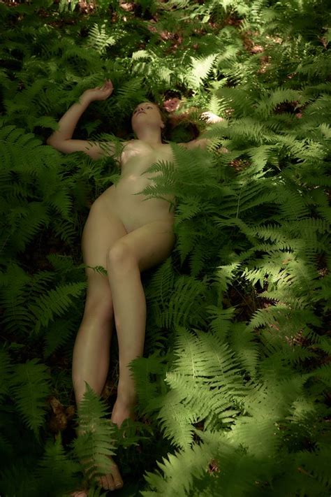 A Bed Of Ferns Artistic Nude Artwork By Photographer Daniel Tirrell