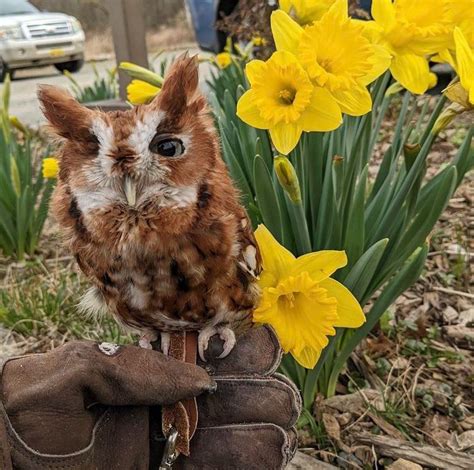 Adorable Farm Animals Demonstrate That Cuteness Is Harmless