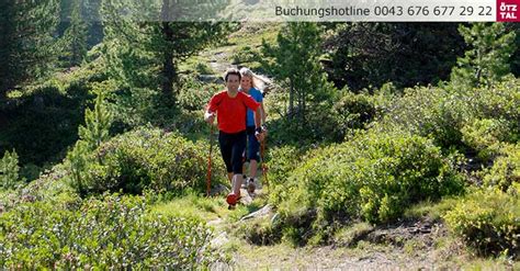 Almen Statt Palmen Sommer In Den Bergen