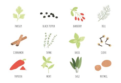 Spices Herbs Vector Art Png Spices And Herbs Herb Spice Aromatic