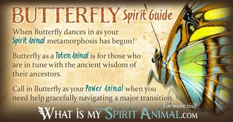 Butterfly Symbolism & Meaning | Spirit, Totem & Power Animal